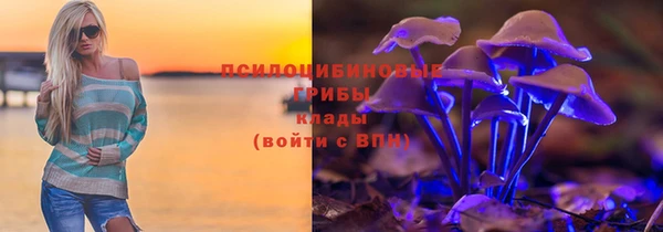 таблы Богданович