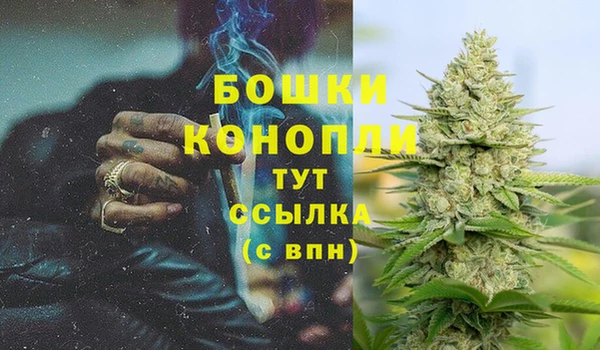 таблы Богданович