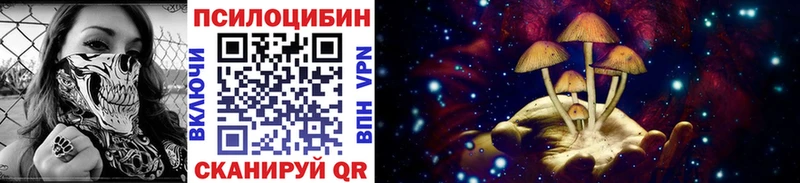 Псилоцибиновые грибы GOLDEN TEACHER  Купить где  Касимов 